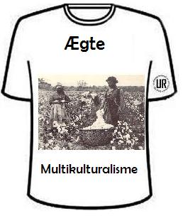 multikultur-shirt