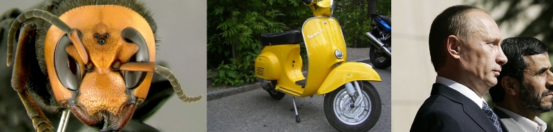 På billederne ses en asiatisk gigahveps (Vespa Mandarinia), en italiensk scooter (Vespa Primavera) og en russisk diktator (Vladimir Vladimirovitj Putin).