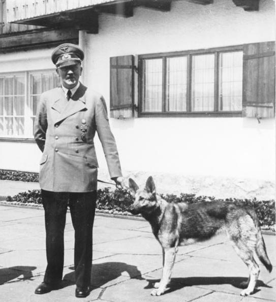 Adolf Hitler og Blondi, 14. juni 1942. Bundesarchiv, B 145 Bild-F051673-0059 / CC-BY-SA
