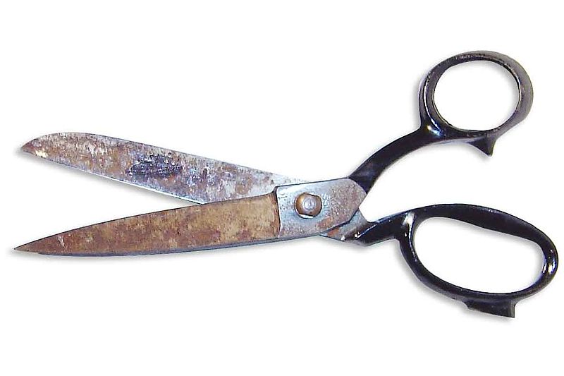 En rusten saks. Foto: Horst Frank (CC BY-SA 3.0)